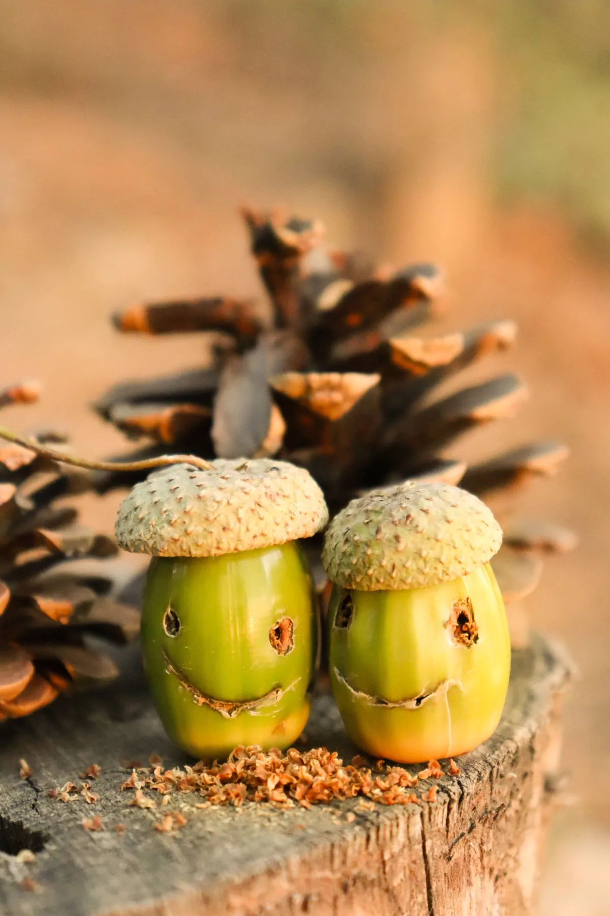 Acorn Thanksgiving crafts for kids