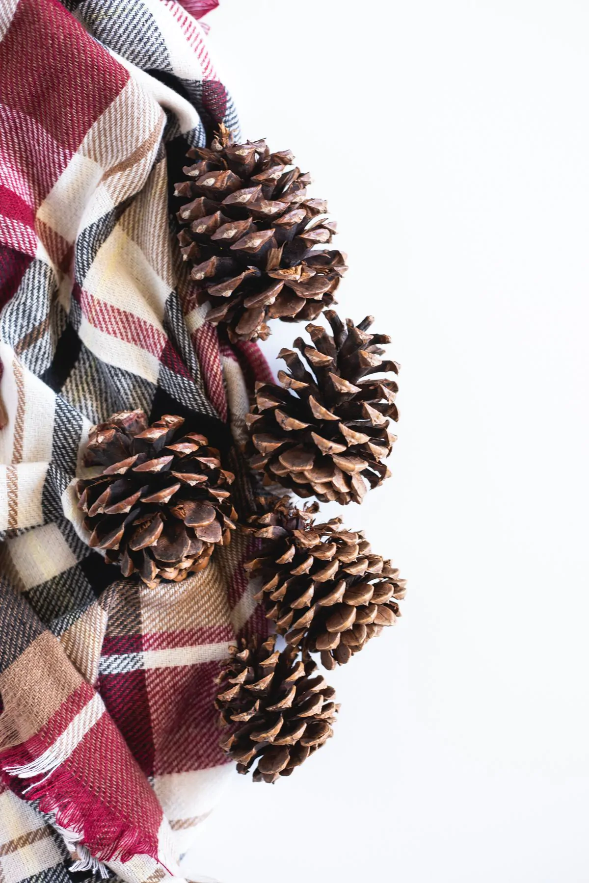 Pinecone turkey Thanksgiving craft for kids