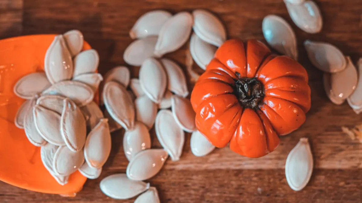 Pumpkin seed art Thanksgiving craft for kids