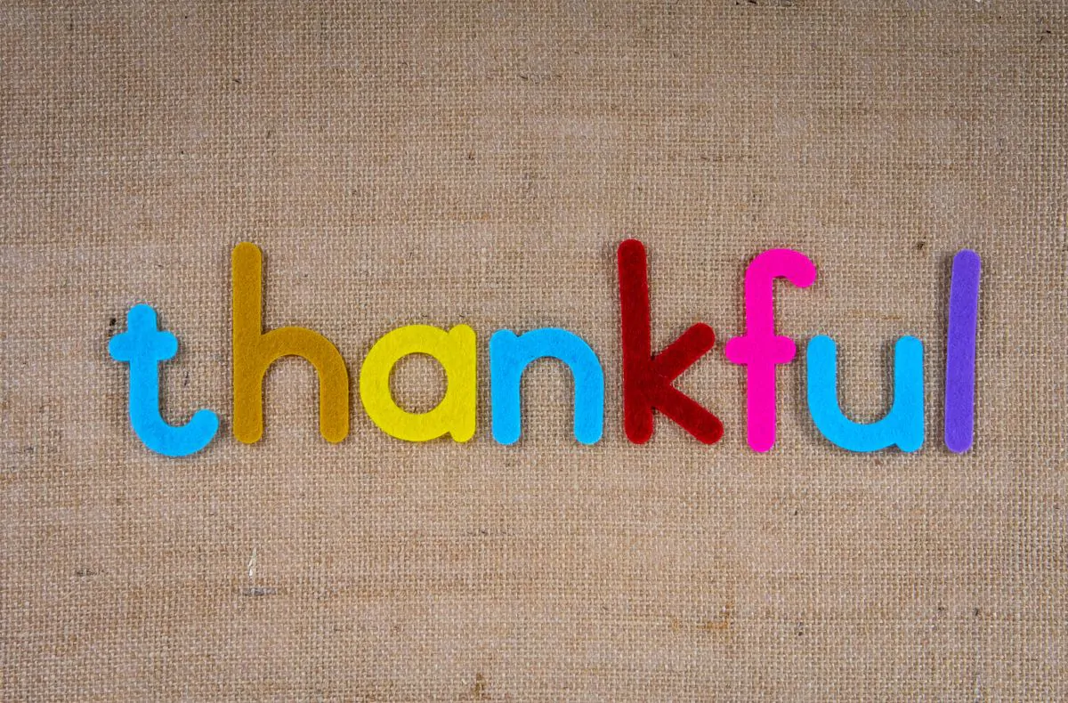 Thankful tree Thanksgiving craft for kids