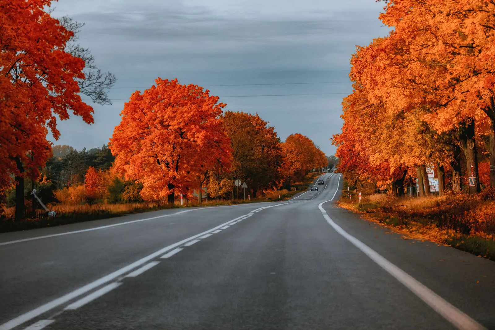Autumn road Thanksgiving wallpaper