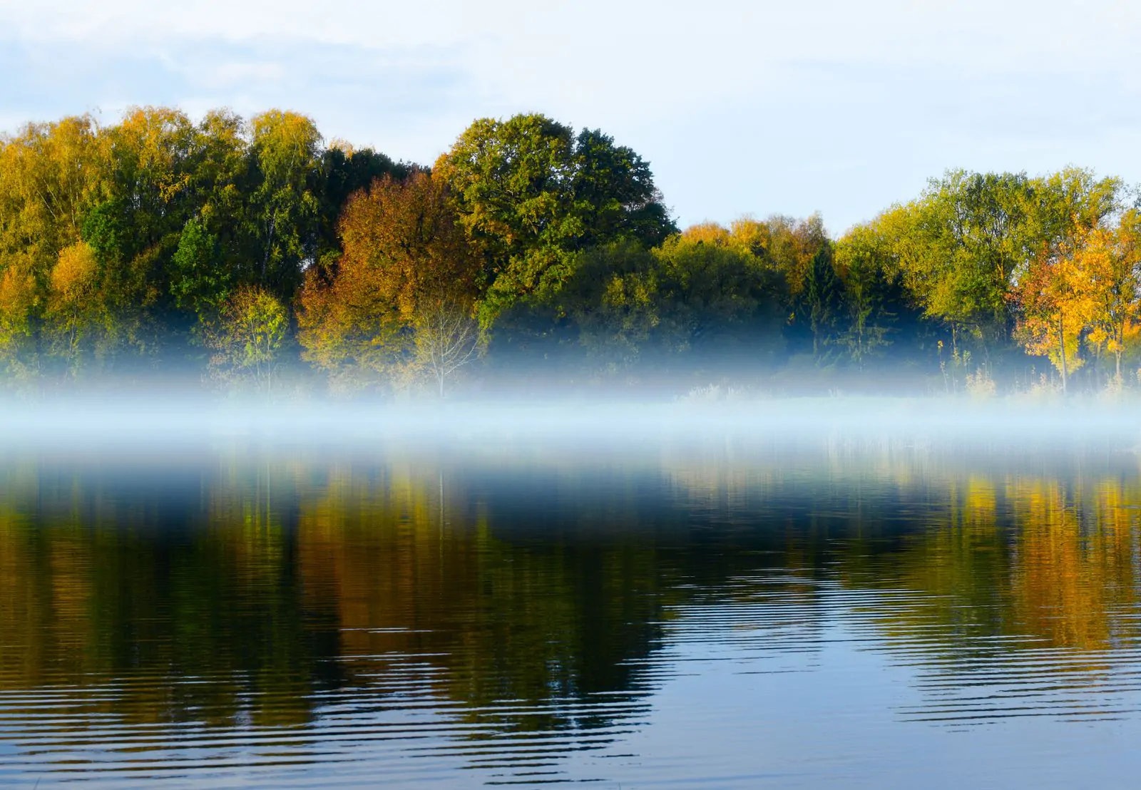 Misty autumn morning Thanksgiving wallpaper